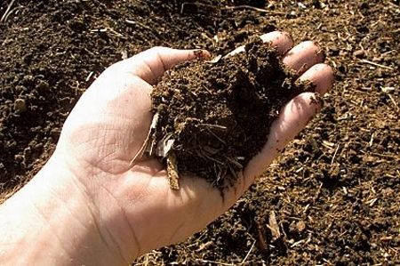 Come fare il compost  