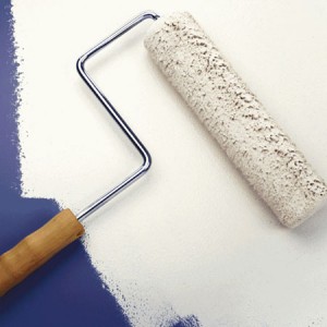 Come risolvere un problema di pittura squamata  