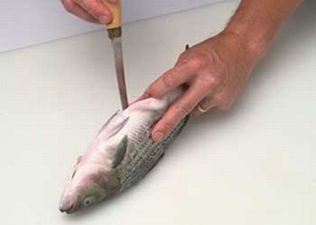 Come pulire il pesce  