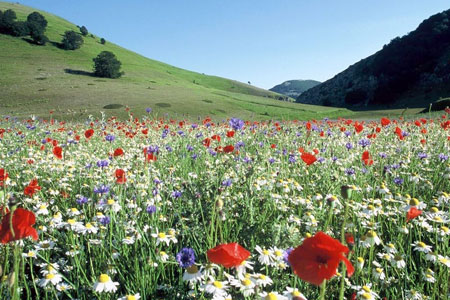 Come ricaricarsi tra aria e natura  