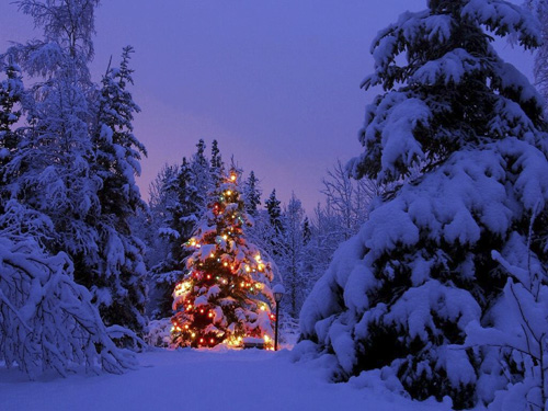 Come addobbare l'albero di Natale  