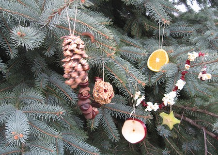 Come decorare l'albero di Natale con gli agrumi secchi  