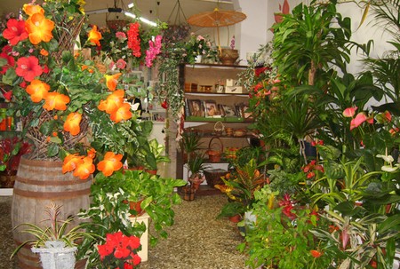 Come aprire un negozio di fiori  