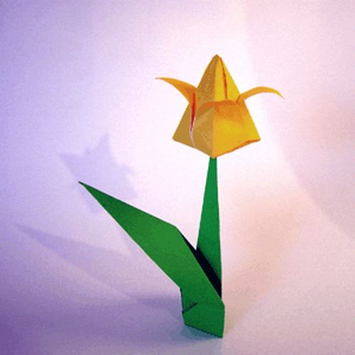 Come fare un tulipano con l'origami  