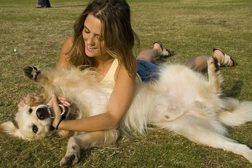 Come calmare un animale domestico ansioso  