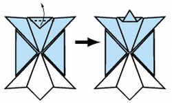 Come fare la tartaruga con l'origami  