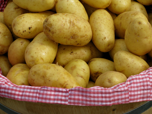 Come conservare le patate  