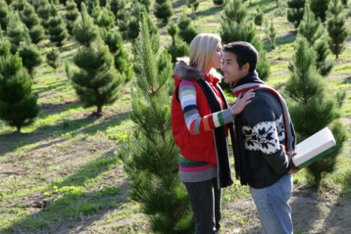 Come curare e decorare un albero di Natale vero  