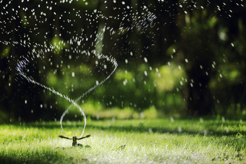 Come innaffiare il giardino quando fa molto caldo  