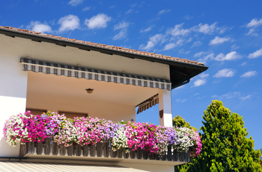 Come scegliere i fiori estivi per il balcone  