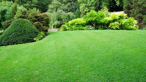 Come seminare l'erba in giardino  