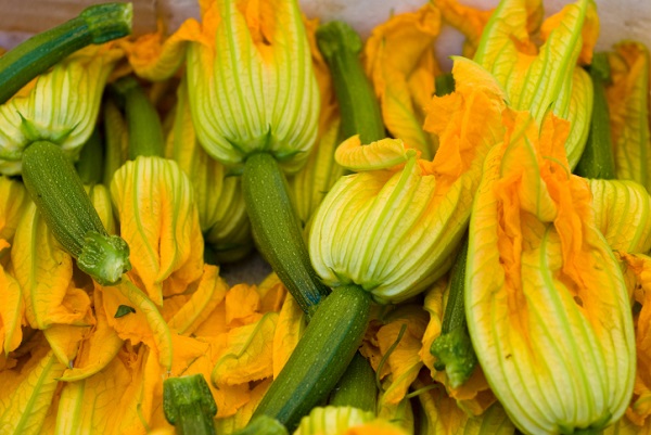 Come conservare i fiori di zucca  