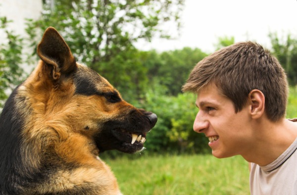 Come superare la paura dei cani  