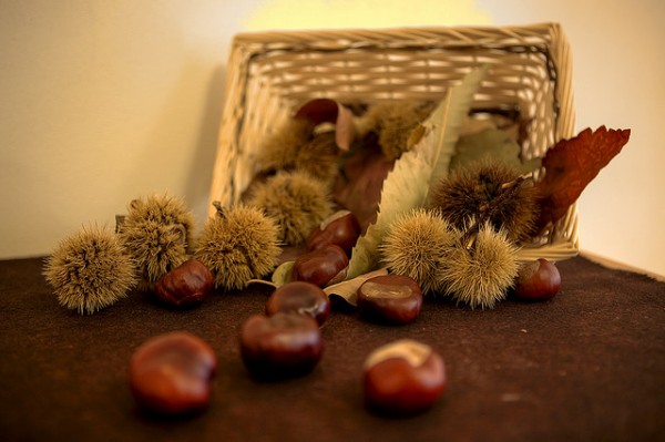 Come fare il liquore di castagne  