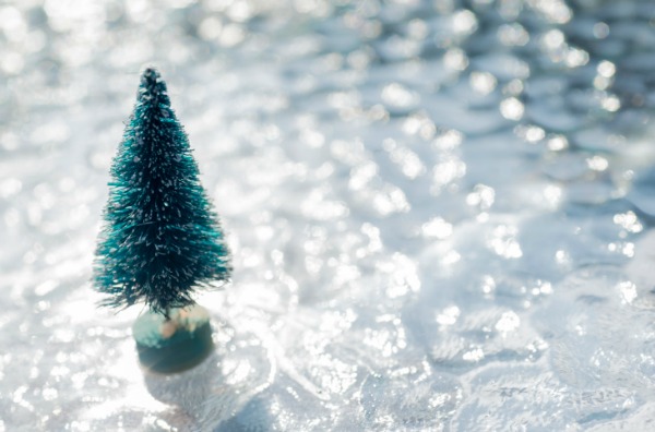 Come Fare Un Albero Di Natale Con Le Bottiglie Di Plastica