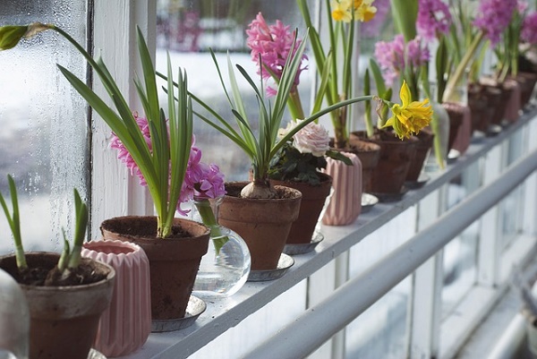 Come decorare i vasi sul balcone  