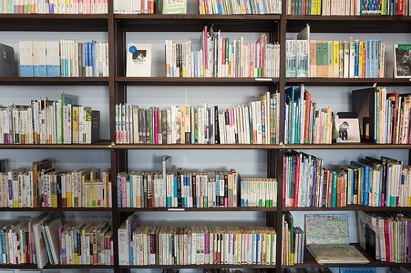 Come organizzare la propria libreria in modo corretto  