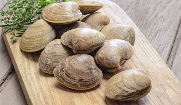 Come spurgare le vongole  