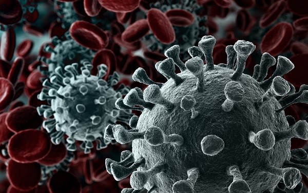 Coronavirus, come evitare di infettarsi in casa  