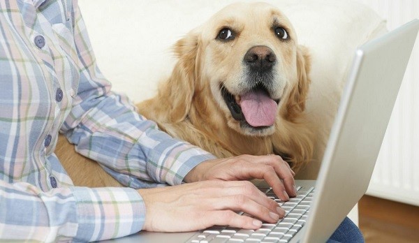 Come gestire insieme smart working e animali domestici  