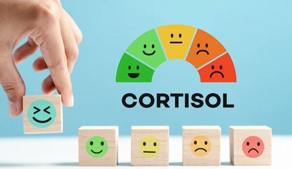 Come abbassare il cortisolo  